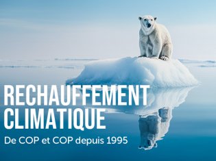 De COP en COP : la lutte contre le réchauffement climatique