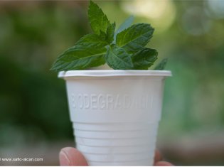 Les plastiques biodégradables : une solution à la pollution plastique ?